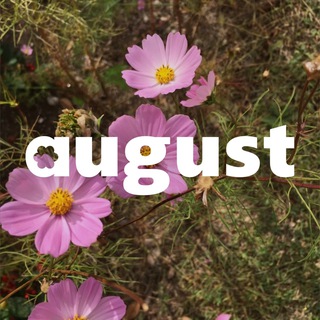 Telegram profile photo for August.storree
