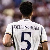 Telegram profile photo for Bellingham