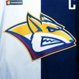 Telegram profile photo for MMG Family