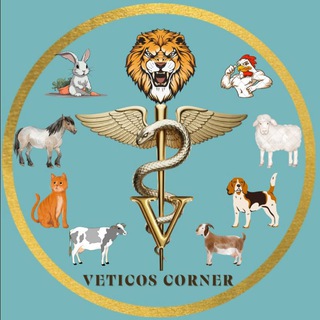Telegram profile photo for Veticos Corner