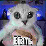 Telegram profile photo for Инфо Сквазима/Ао🪐