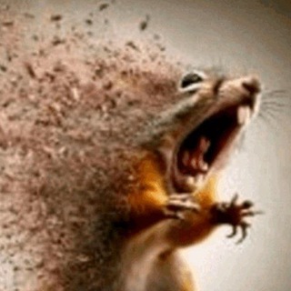 Telegram profile photo for картонное дерево