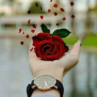 Telegram profile photo for لحظه های ناب عاشقانه
