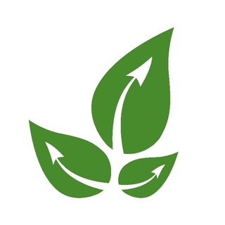 Telegram profile photo for Живые бизнес-системы канал