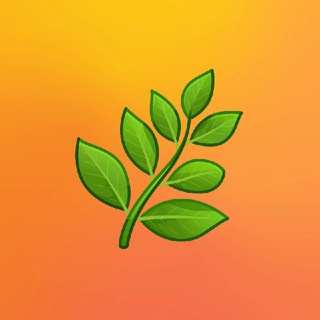 Telegram profile photo for Здоровье и жильбер