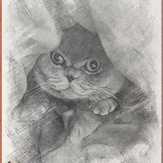 Telegram profile photo for Серый kotъ
