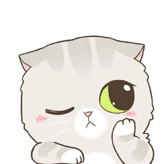 Telegram group profile photo for 清清🐧交流群(禁广)