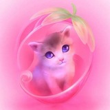 Telegram profile photo for Милые котики