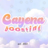 Telegram profile photo for Boosting Social Media