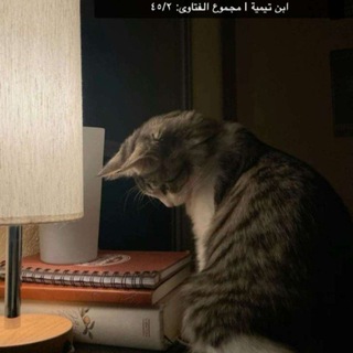 Telegram profile photo for حـفـظ (قوران لەبەر ڪردن بەبێ لایڤ)