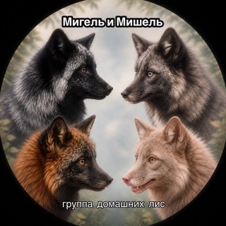 Telegram profile photo for Мигель и Мишель