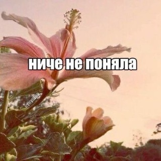 Telegram profile photo for I'M NOT A PHOTOGRAPHER