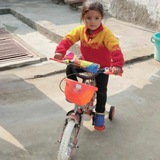 Telegram profile photo for VIPIN VARSHNEY ONE KING ((9501898665))