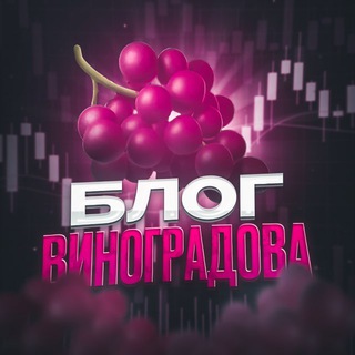Telegram group profile photo for ЧАТ ВИНОГРАДОВА