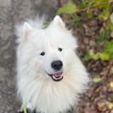 Telegram profile photo for Конкурсы от Тедди