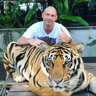 Telegram profile photo for Aleksandr Tkachenko-личный канал.