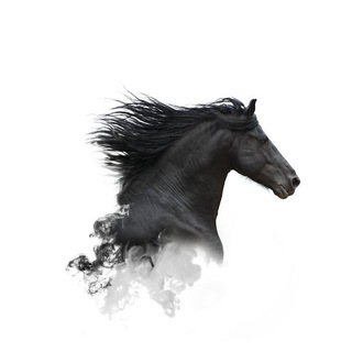 Telegram profile photo for خُيُول الغَرِيْبُ