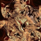Telegram profile photo for Willow's Claw