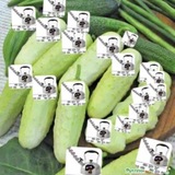 Telegram profile photo for комнатка аруу