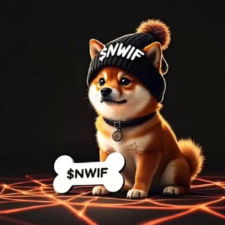 Telegram profile photo for $NWIF CTO - Portal