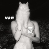 Telegram profile photo for чай (ка)