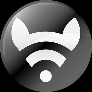Telegram profile photo for Український Єнот 🦝