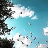 Telegram profile photo for وَذَكِّرْ 🌿