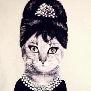 Telegram profile photo for Moore.