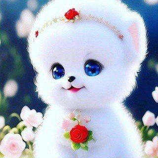 Telegram profile photo for طعم زندگی😍