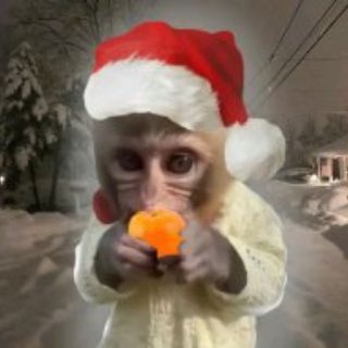 Telegram profile photo for дядька тема