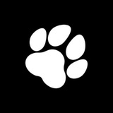 Telegram profile photo for бурмалапка