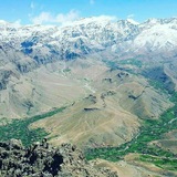 Telegram profile photo for 🌳دايكندى🌳وانرژى مثبت 🍁🌲🌵