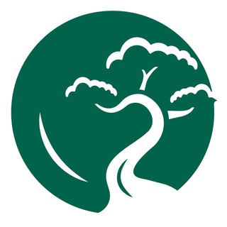Telegram profile photo for Питомник «О₂» 🌳 Воронежская обл 🌳 Хвойные 🌳 Ниваки