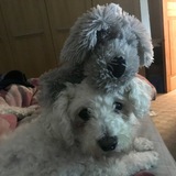 Telegram profile photo for We Keep The Faith