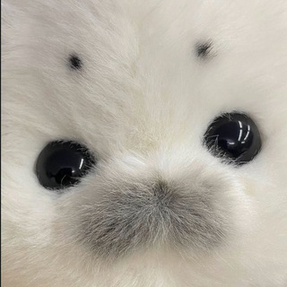 Telegram profile photo for ⋮ ℳandariin ༝