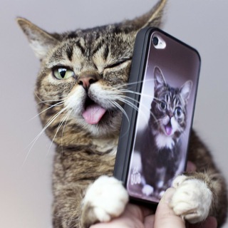Telegram profile photo for mir_aksessuarov📞☎️📱