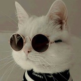Telegram profile photo for ➪ 𝖆𝖊𝖘𝖙𝖍𝖊𝖙𝖎𝖈 𝖖𝖚𝖔𝖙𝖊𝖘