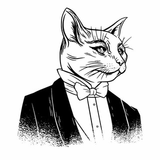 Telegram profile photo for آقای گربه: