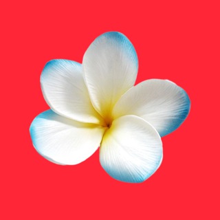 Telegram group profile photo for 🇨🇭🇺🇦 Українці в Швейцарії Берні Цюрихі Женеві