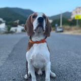 Telegram profile photo for Аватарки от ебанушки