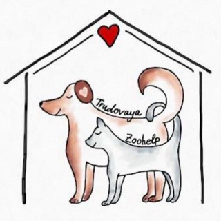 Telegram profile photo for trudovaya_zoohelp