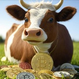 Telegram profile photo for Bamboo - Airdrop