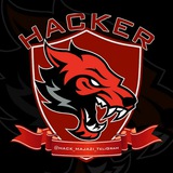 Telegram profile photo for آموزش هک گوشی