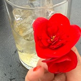 Telegram profile photo for Паутинки🪻
