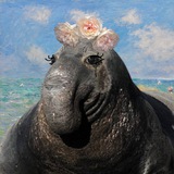Telegram profile photo for конфешка