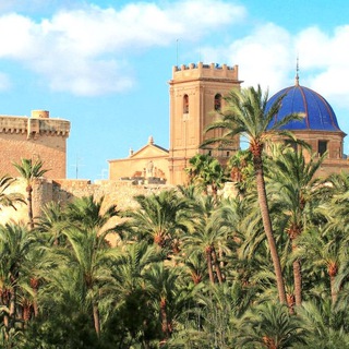 Telegram profile photo for Noticias de Elche