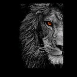 Telegram profile photo for 𝔏𝔬𝔯𝔡 𝔠𝔥𝔞𝔫𝔢𝔩
