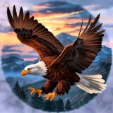 Telegram profile photo for .