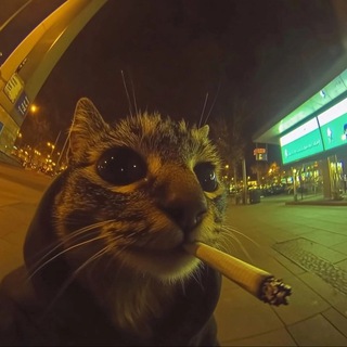 Telegram profile photo for Do Cats Dream of Laser Pointers?