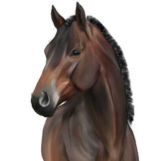 Telegram profile photo for 🍇Equ&Jane